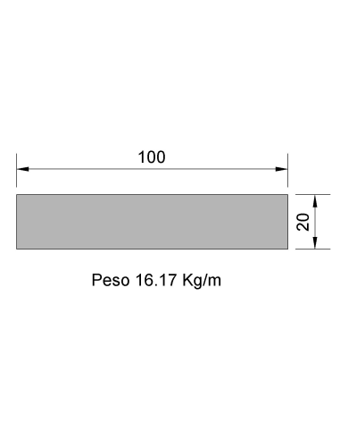 Pletina PL-100x20 Negra    16.17
