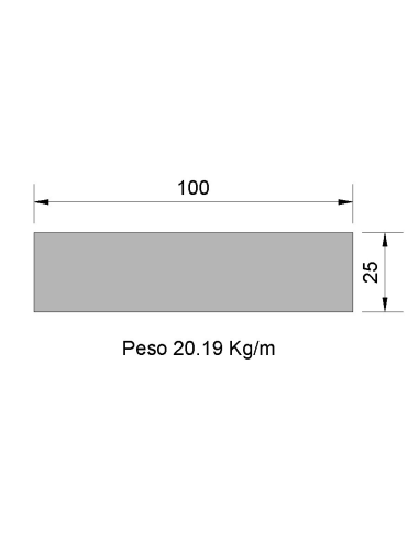 Pletina PL-100x25 Negra    20.19