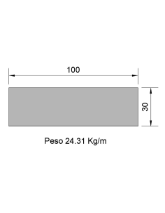 Pletina PL-100x30 Negra...