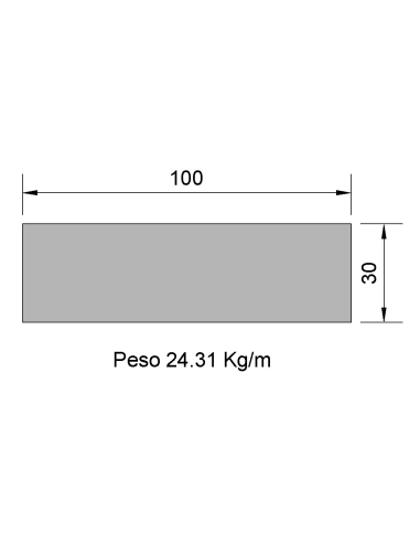 Pletina PL-100x30 Negra    24.31