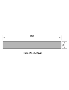 Pletina PL-160x20 Negra...