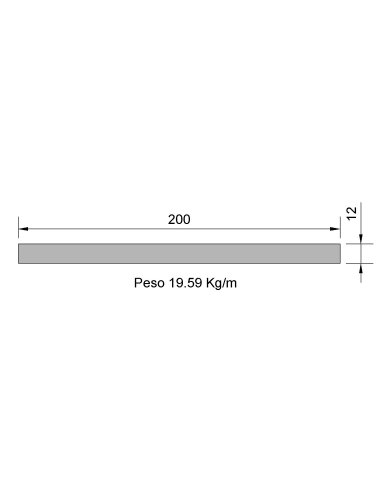 Pletina PL-200x12 Negra    19.59