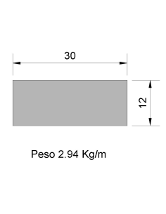 Pletina PL-30x12 Negra    2.94