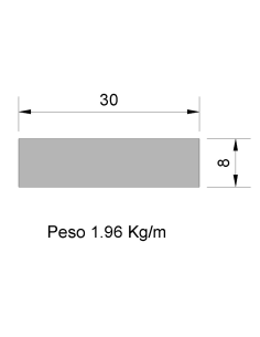 Pletina PL-30x8 Negra    1.96