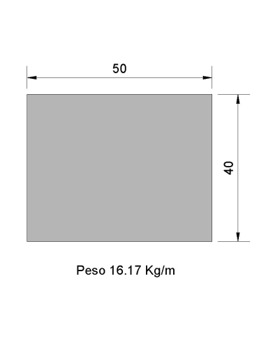 Pletina PL-50x40 Negra    16.17