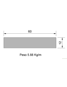 Pletina PL-60x12 Negra    5.88