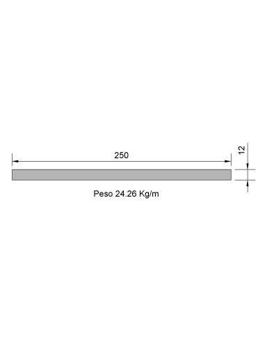 Pletina PL-250x12 Negra    24.26