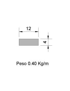Pletina PL-12x4 Negra    0.40