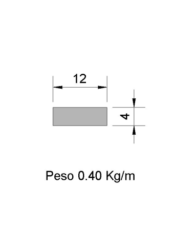 Pletina PL-12x4 Negra    0.40