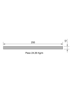 Pletina PL-250X12 Cincada...